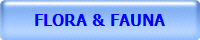 FLORA & FAUNA
